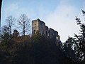 Karlstein castle ruins