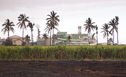 Saint-Louis'te bulunan bir şeker pancarı fabrikası