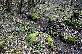 Le ruisseau des Cars.