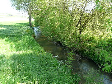 La Sauvanie en amont du pont de l'Épine basse, en limite de Saint-Martial-Viveyrol (à gauche) et Verteillac.