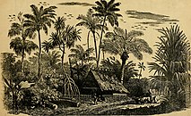 1884 sketch of the bahamas