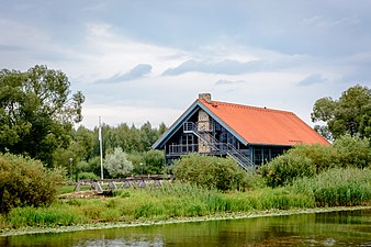 Территория городища Ууе-Кавасту (памятник культуры)