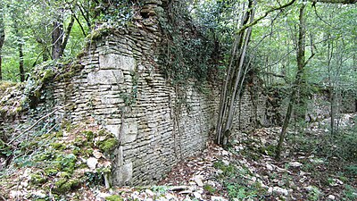 Ruines de l'abbaye.