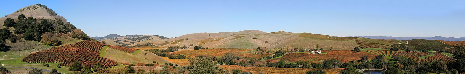 Vineyards in Napa Valley, California.