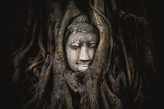 5. Platz: Buddhastatue in Wat Mahathat Ayutthaya von Siripatwongpin