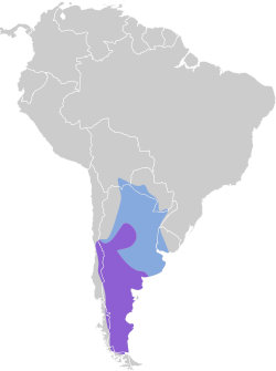 Distribución geográfica del canastero coludo.