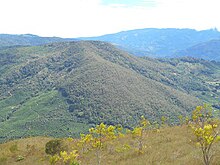 Panorámica de los pastos