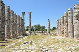 Temple de Zeus