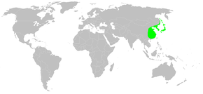 Description de l'image Distribution.cercidiphyllum.japonicum.png.