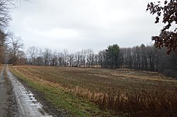 Fields and woods north of Shippenville