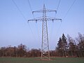 Originalmast im ehemaligen Abschnitt Aschaffenburg–Kelsterbach bei Stockstadt, heute 110 kV