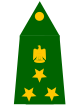 Iraqi brigadier general