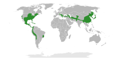 Distribuição natural da subfamília Juglandoideae.