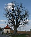 Feldkapelle