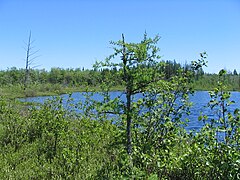 Lac à la Barbotte[6], source du ruisseau Gendron, Laurentides, accès par la Route des Prairies