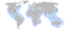 Distribución de C. caretta. Los círculos rojos representan los mayores anidamientos. Los amarillos son los de menor cuantía.