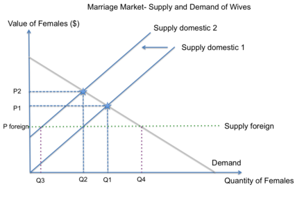 This graph shows the marriage market for women in India and how the lack of females due to female foeticide results in a lower supply of women. The gap is bridged by men kidnapping or importing wives from other regions.