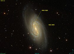 NGC 2905