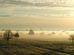 Morning fog in East Frisia