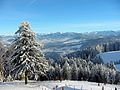 Blick vom Pfänder Richtung Bregenzerwald