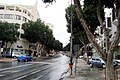 Raining Makariou Avenue in downtown Nicosia (November 2011)