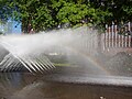 Regenbogen in der Fontäne am Holstenwall im Artikel über die Internationale Gartenbauausstellung 1963