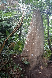 Menhir de Milin-ar-Lann