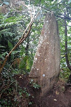 Image illustrative de l’article Menhir de Milin-ar-Lann