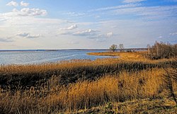 Kozhanovsky Lake, in Gordeyevsky District