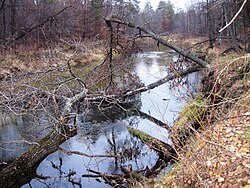 Река Серёжа в Навашинском районе