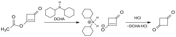 1,3-Cyclobutandion via DCHA-Salz