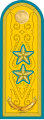 Генерал лейтенант (Kazakistan Hava Kuvvetleri)