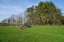 Site of the Champ sur la Pierre well in Grozon.