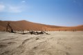 General view of Dead Vlei