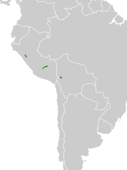 Distribución geográfica del cachudito pechicenizo.