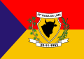 Bandeira de Santa Rosa de Lima