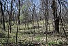 Bloyer Mound Group