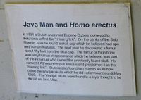 Inside the souvenir shop, a poster emphasizes the imprecision of the Java Man discovery