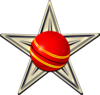 The Cricket Barnstar