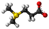 Ball-and-stick model of the dimethylsulfoniopropionate zwitterion