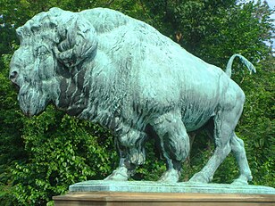 Buffalo, Dumbarton Bridge, Washington, D.C.