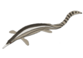 Eohupehsuchus