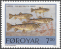 FR 250: Áarsíl - brown trout (Salmo trutta fario)