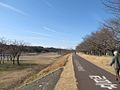 左岸 府中市郷土の森公園付近