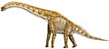 Giraffatitan