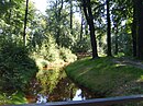 Schlossgarten mit altem Baumbestand