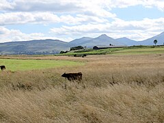 Vue sur les tourbières et les Monts du Cantal