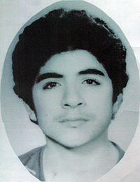 Mohammad Hossein Fahmideh