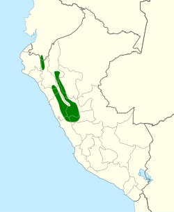 Distribución geográfica del colibrí de Stolzmann