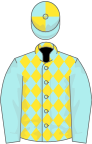 Pale blue and yellow diamonds, pale blue sleeves, quartered cap